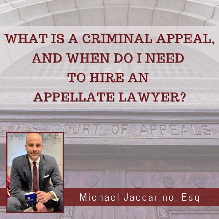 Appellate lawyer